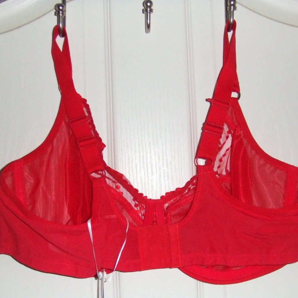 Elomi MATILDA Red Mesh Bra & Goddess KAYLA Panty - Picture 2 of 11